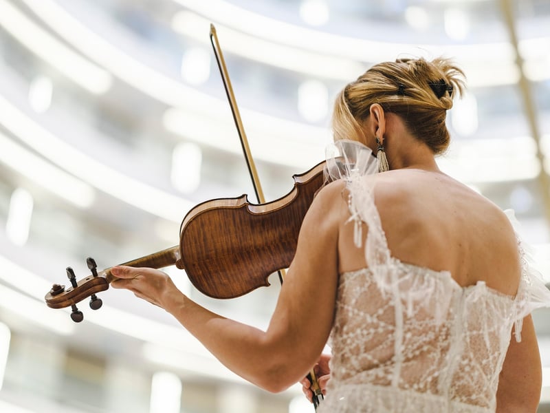 String Quartet Performance